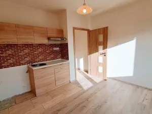 Pronájem bytu 1+kk, Ústí nad Labem - Ústí nad Labem-centrum, Stará, 20 m2