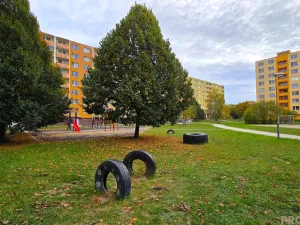 Pronájem bytu 2+1, Vyškov, Tyršova, 52 m2