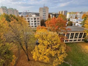 Pronájem bytu 2+1, České Budějovice - České Budějovice 2, J. Opletala, 72 m2