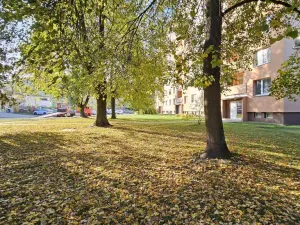 Prodej bytu 3+1, Boskovice, Slovákova, 73 m2