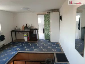 Pronájem rodinného domu, Lety, U viaduktu, 110 m2