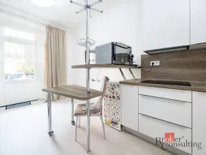 Prodej bytu 1+kk, Praha - Žižkov, Rokycanova, 35 m2