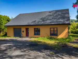 Prodej obchodního prostoru, Děčín - Děčín I-Děčín, Krokova, 293 m2