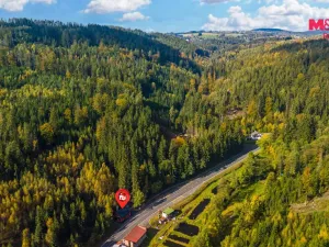 Prodej obchodního prostoru, Železný Brod - Těpeře, 100 m2