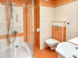Prodej bytu 2+kk, Frýdek-Místek - Místek, Československé armády, 50 m2