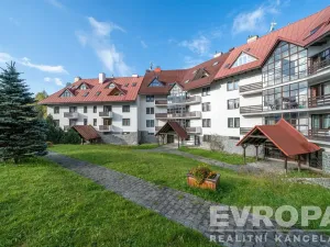Pronájem bytu 1+kk, Harrachov - Nový Svět, 29 m2