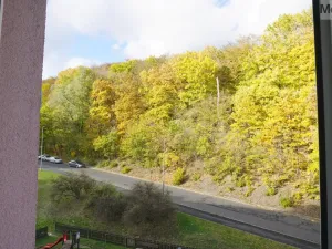 Prodej bytu 4+1, Litvínov - Janov, Luční, 80 m2