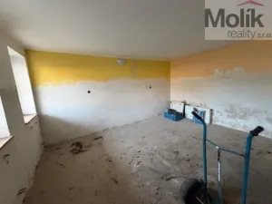 Prodej rodinného domu, Terezín - České Kopisty, 1041 m2