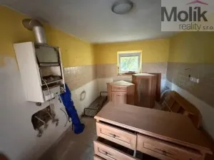 Prodej rodinného domu, Terezín - České Kopisty, 1041 m2