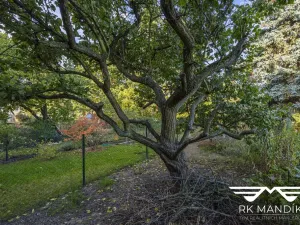Prodej rodinného domu, Praha - Kobylisy, Březová, 137 m2