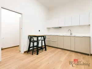 Pronájem bytu 1+kk, Brno - Zábrdovice, Bratislavská, 28 m2