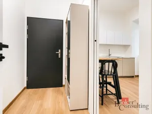 Pronájem bytu 1+kk, Brno - Zábrdovice, Bratislavská, 28 m2