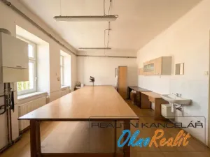 Prodej rodinného domu, Přerov - Přerov XIII-Penčice, Lipňanská, 398 m2