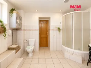 Prodej zemědělské usedlosti, Přešťovice - Kbelnice, 661 m2