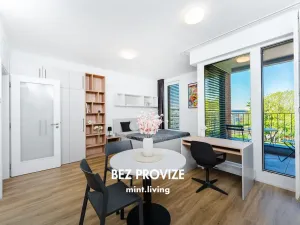 Pronájem bytu 1+kk, Praha - Vysočany, Odkolkova, 36 m2