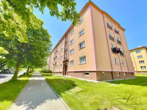 Pronájem bytu 2+1, Ostrov, S. K. Neumanna, 64 m2