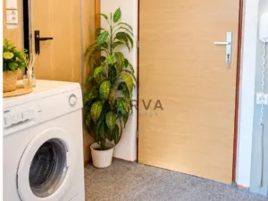 Pronájem bytu 1+kk, Plzeň - Severní Předměstí, Brněnská, 33 m2