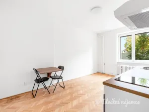 Pronájem bytu 1+kk, Praha - Žižkov, Pod lipami, 20 m2