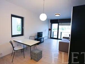 Pronájem bytu 1+kk, Praha - Karlín, U Mlýnského kanálu, 36 m2