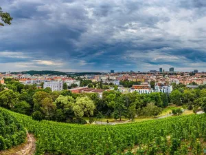 Prodej bytu 3+1, Praha - Vinohrady, Americká, 68 m2