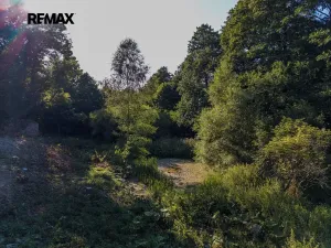 Prodej rodinného domu, Červená Voda, 440 m2