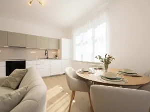 Prodej bytu 2+kk, Brno, Mírová, 56 m2