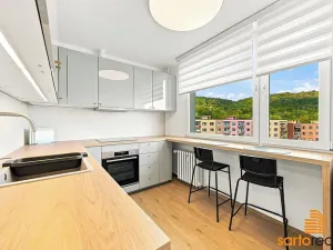 Pronájem bytu 1+1, Ústí nad Labem, Jizerská, 42 m2