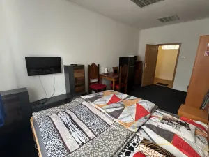 Pronájem bytu 1+kk, Hranice - Hranice I-Město, Teplická, 23 m2