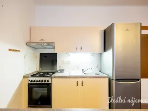 Pronájem bytu 1+kk, Praha - Žižkov, Viklefova, 38 m2