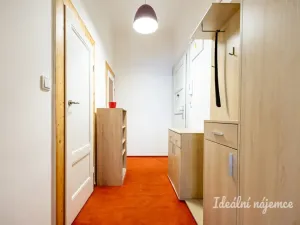 Pronájem bytu 1+kk, Praha - Žižkov, Viklefova, 38 m2