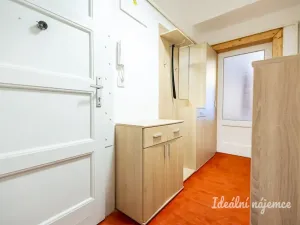 Pronájem bytu 1+kk, Praha - Žižkov, Viklefova, 38 m2