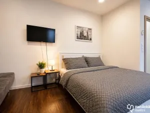 Pronájem bytu 1+kk, Olomouc, Andělská, 35 m2