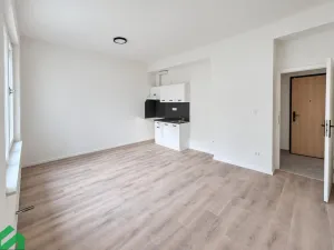 Pronájem bytu 1+kk, Praha - Libeň, Na Truhlářce, 30 m2
