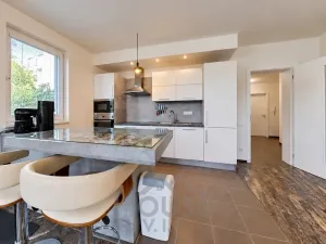 Prodej bytu 2+kk, Praha - Žižkov, Olgy Havlové, 66 m2