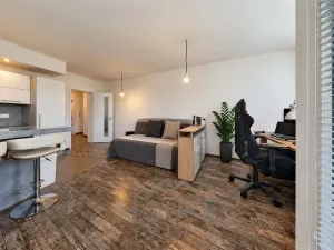 Prodej bytu 2+kk, Praha - Žižkov, Olgy Havlové, 66 m2