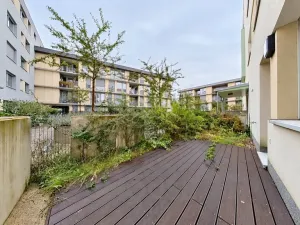 Prodej bytu 2+kk, Praha - Žižkov, Olgy Havlové, 66 m2