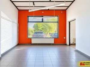 Prodej obchodního prostoru, Boskovice, 247 m2