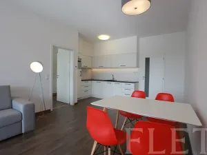 Pronájem bytu 2+kk, Praha - Karlín, U Mlýnského kanálu, 57 m2