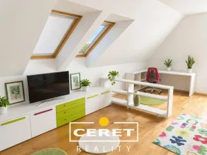 Prodej rodinného domu, Nové Sedlo - Číňov, 500 m2