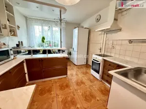 Prodej rodinného domu, Nelahozeves - Lešany, Pod Hájem, 428 m2