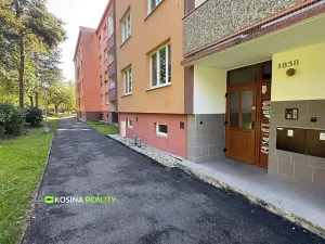 Pronájem bytu 2+1, Sokolov, Seifertova, 54 m2