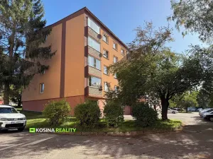 Pronájem bytu 2+1, Sokolov, Seifertova, 54 m2