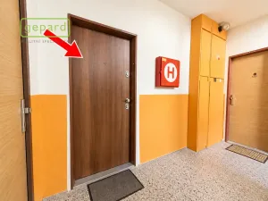 Pronájem bytu 2+1, Abertamy, Hornická, 58 m2