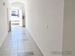 Pronájem rodinného domu, Praha - Libeň, Ve vrchu, 400 m2