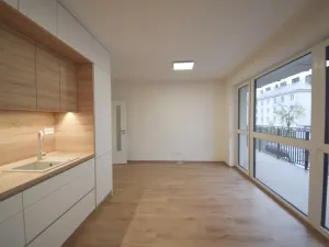 Pronájem bytu 2+kk, Plzeň - Východní Předměstí, Zahradní, 52 m2