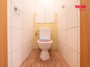 Pronájem bytu 3+1, Holýšov, Pod Makovým vrchem, 63 m2