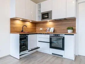 Pronájem bytu 1+kk, Brno, Opuštěná, 29 m2