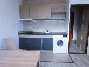 Prodej bytu 1+1, Ústí nad Labem - Všebořice, Zahradní, 33 m2