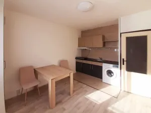 Prodej bytu 1+1, Ústí nad Labem - Všebořice, Zahradní, 33 m2