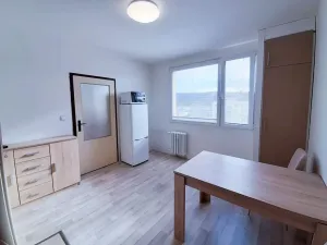 Prodej bytu 1+1, Ústí nad Labem - Všebořice, Zahradní, 33 m2